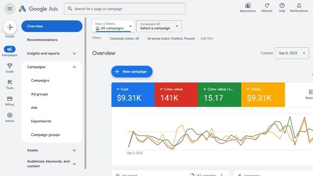 Google Ads account overview showing cost, conversion value and conversion value per cost